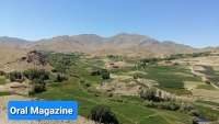 طالبان در بهسود به آزار و اذیت مردم می‌پردازند